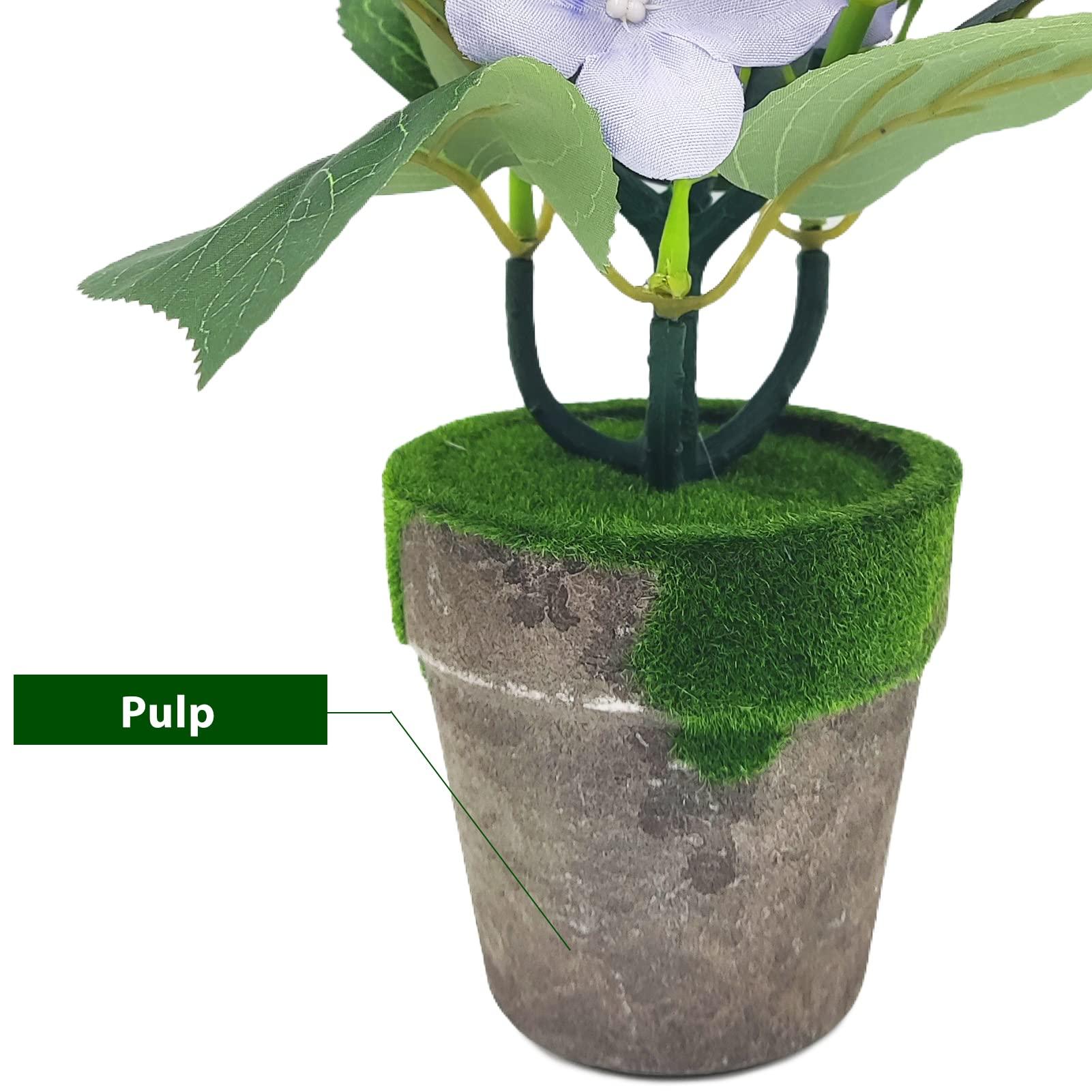 Hallmark Keepsake Hallmark Keepsake Christmas Ornament 2023, The Wizard of Oz Ornament, Under the Poppies\' Spell, Dorothy Gifts