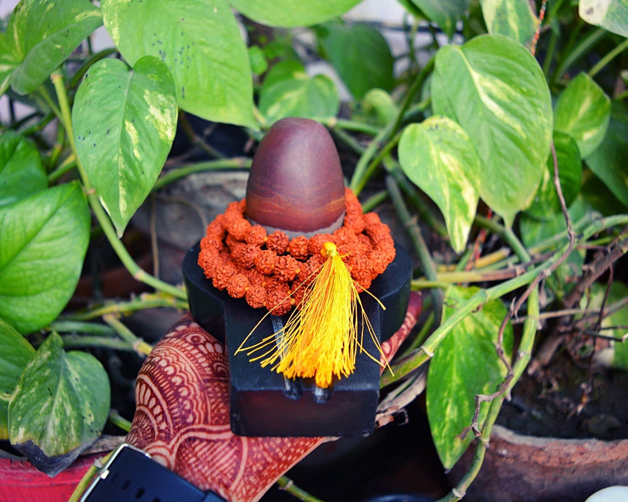 Shiva Lingam Shop 3" Narmadeshwaram Lingam with 6" Black Yoni Base Unique Shivlingam Set~I-5631