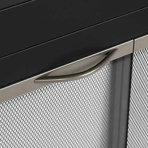 Pleasant Hearth Pleasant Hearth Alsip Sunlight Nickel Glass Firescreen Door | Small