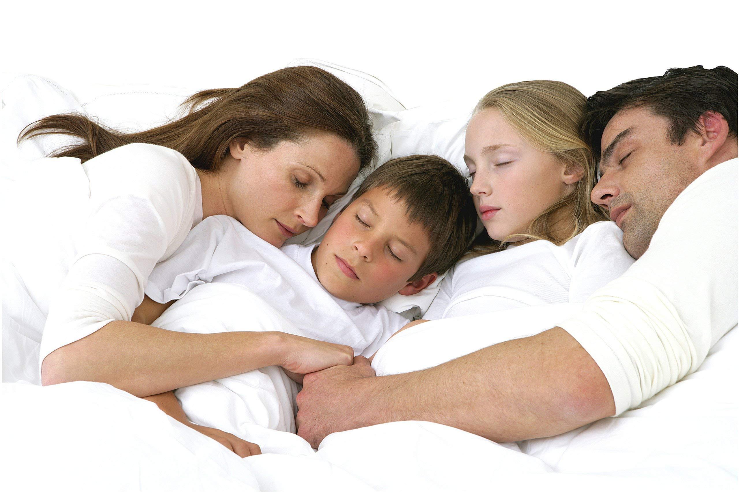 Cotton Home 500 Thread Count Egyptian Cotton Split Corner Bed Skirt/Dust Ruffle Queen Size Bed Skirt - 24\" Inch Drop Length Burgundy Stripe