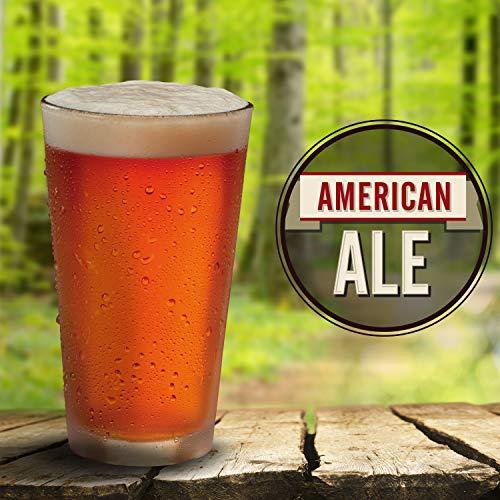 Mr. Beer Mr. Beer American Ale 2 Gallon Homebrewing Refill, Red/Black