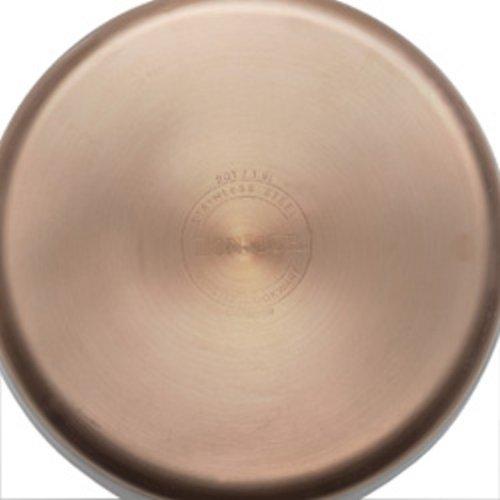 BonJour BonJour Tea Stainless Steel and Copper-Base Gooseneck Teapot/Teakettle/Stovetop Kettle, 2 Quart, Silver