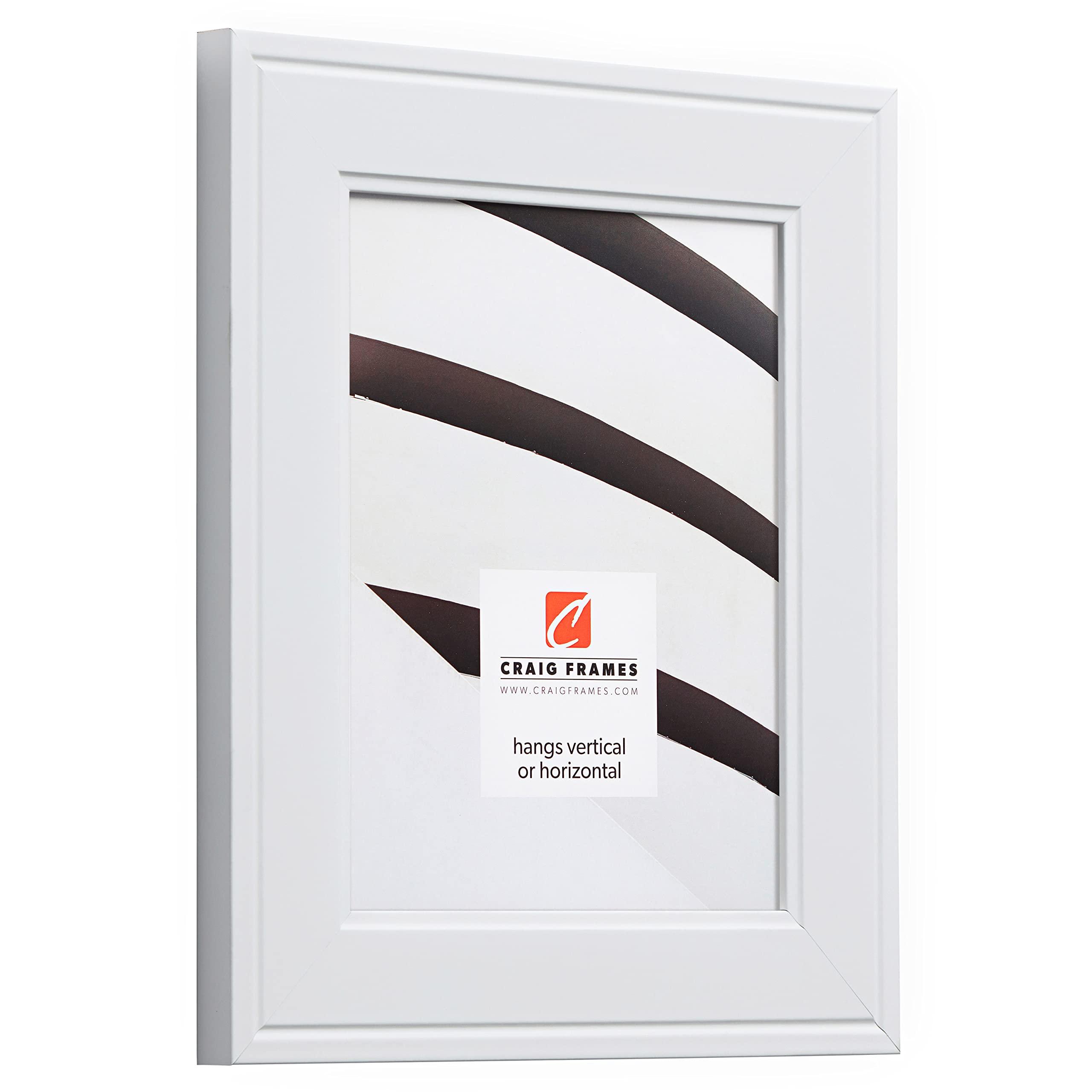 Craig Frames Craig Frames Inspirations, 10x14 Picture Frame, Gallery White
