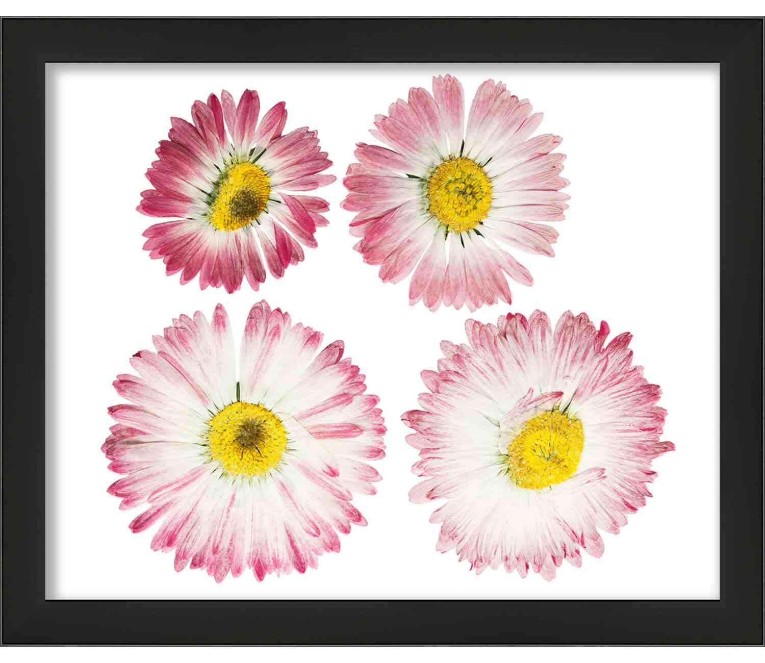 Poster Palooza 13x11 Black Shadowbox Frame - Shadow Box Frame Interior Size 13x11 by 2 Inches Deep - Black Frame Is Made to Display Items Up To 1.75 Inches Deep! Includes Shatter Resistant Acrylic, Backing, Hardware