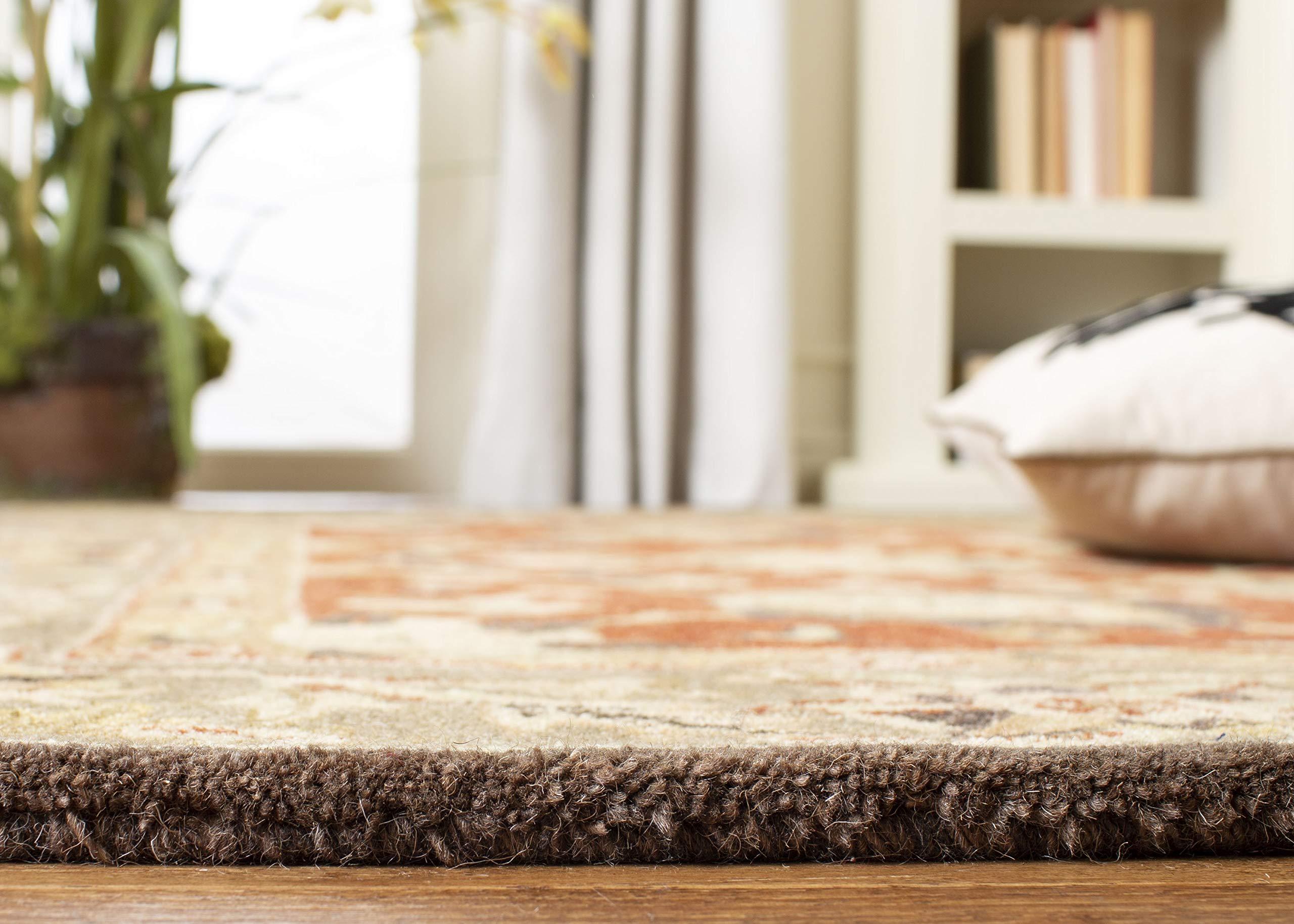 Safavieh SAFAVIEH Anatolia Collection Area Rug - 9' x 12', Rust & Green, Handmade Traditional Oriental Wool, Ideal for High Traffic Areas in Living Room, Bedroom (AN512G)