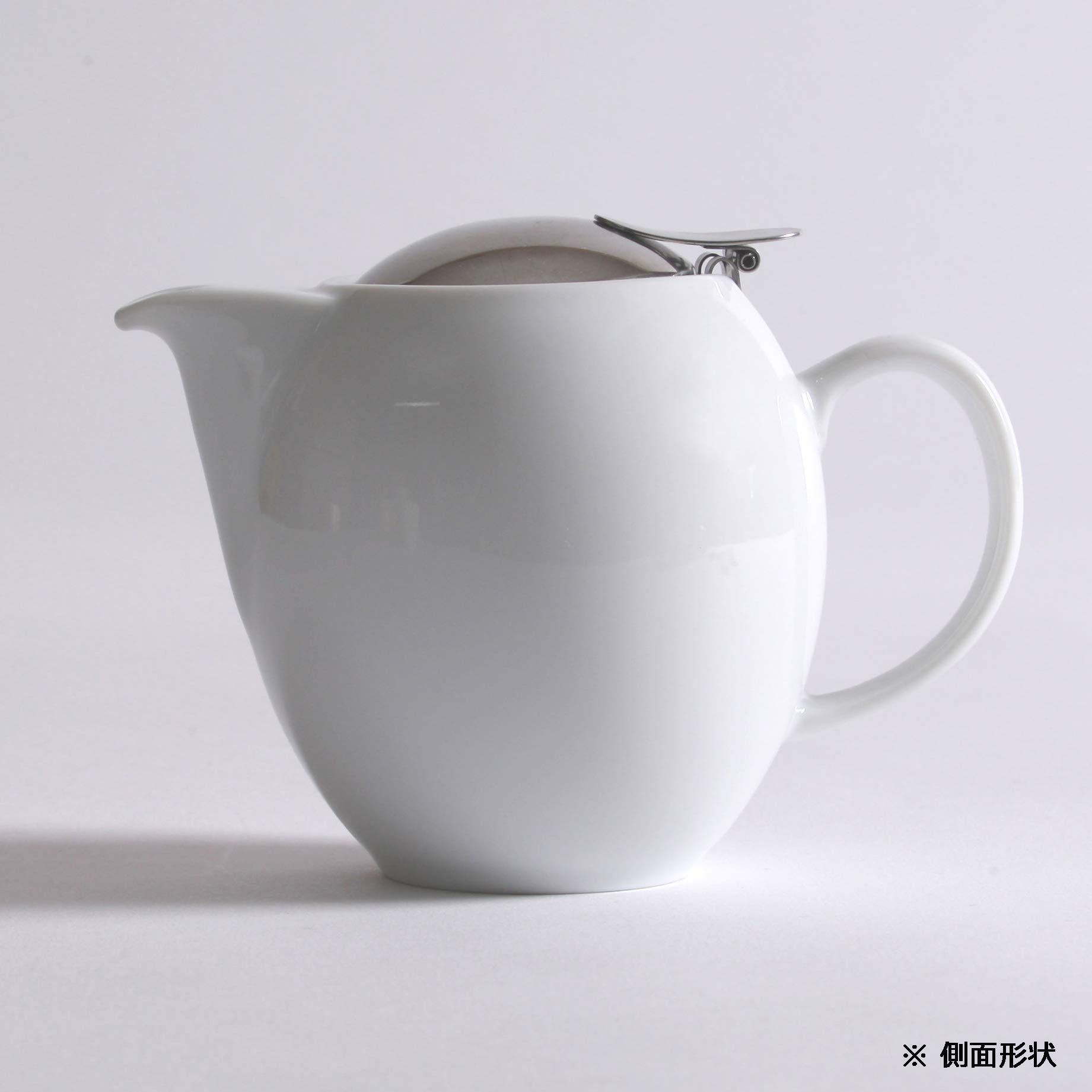 ZERO JAPAN(??????) ZEROJAPAN Universal Teapot for 2 People BBN-01 CA (Carrot)