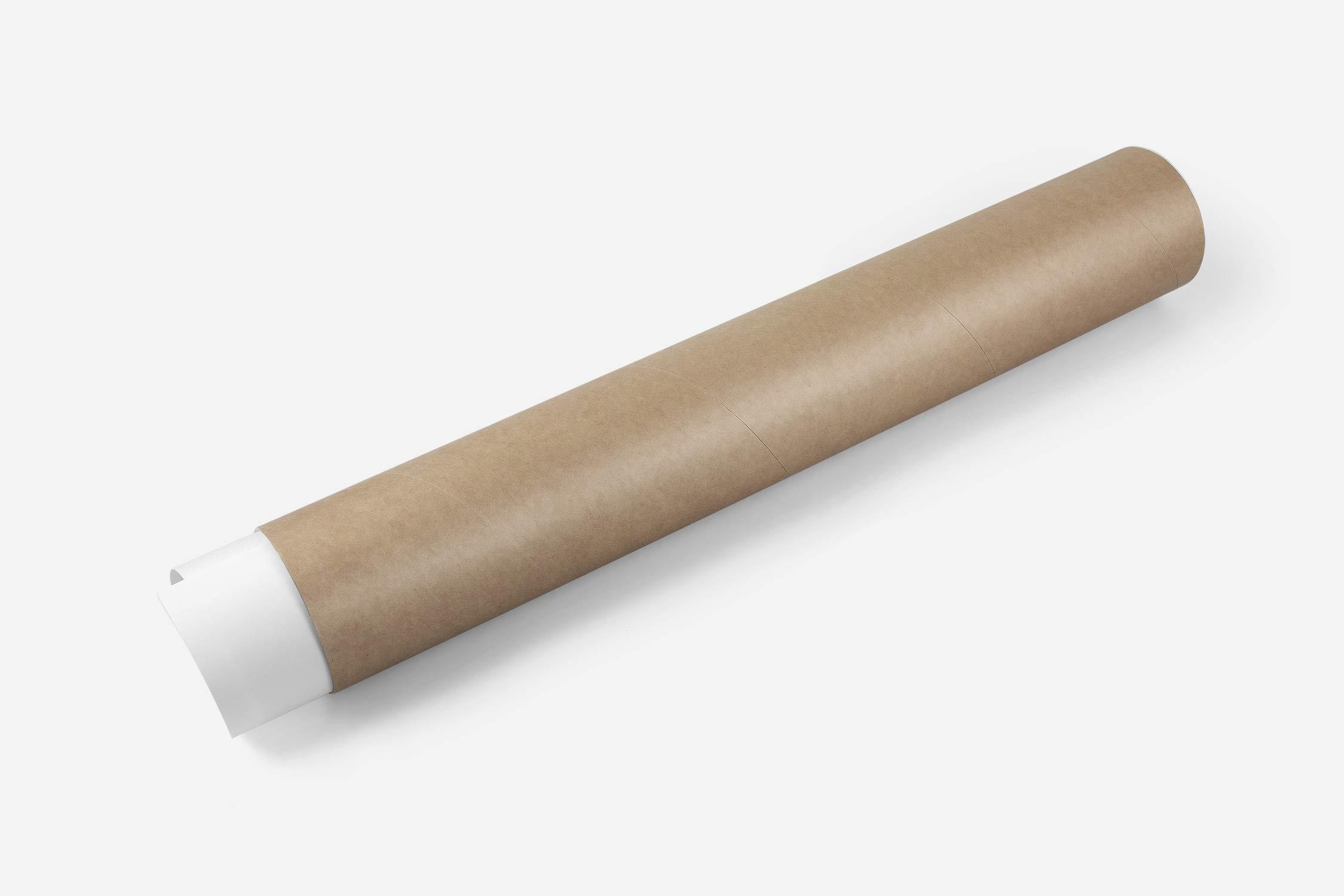 Generic The Decan Wheel Art Print Tarot and Zodiac Chart Astrology Poster Wall Art Decor Occult Gift Unframed (16\" x 16\")