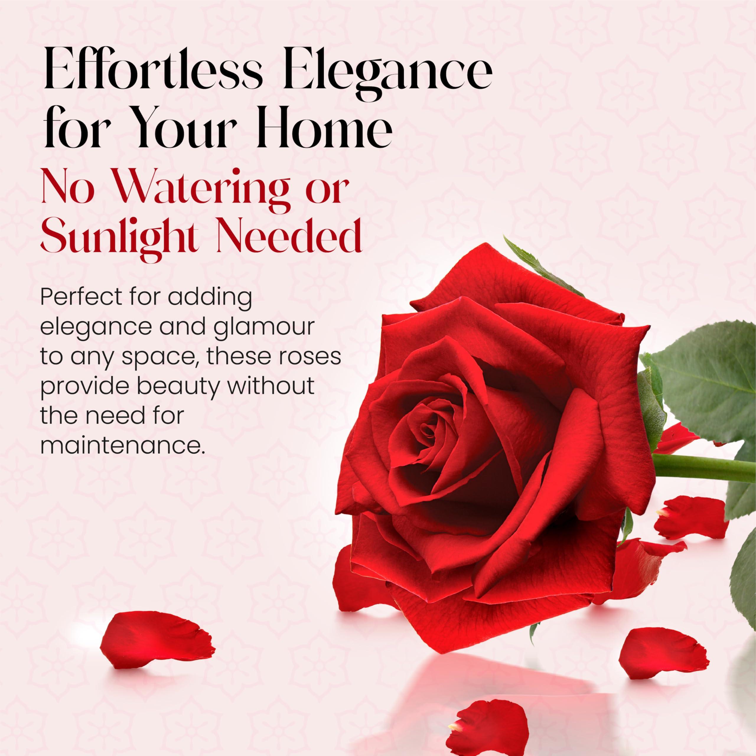 VLove VLove Forever Roses in a Black Box | Real Roses Forever Flowers Box | Naturally Preserved Flowers | Preserved Rose Box | Eternal Rose That Last A Year | Romantic Valentines Day Gift for Wife (Red)