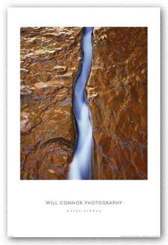 New York Graphics Water Ribbon by Will Connor 20"x24" Art Print Poster