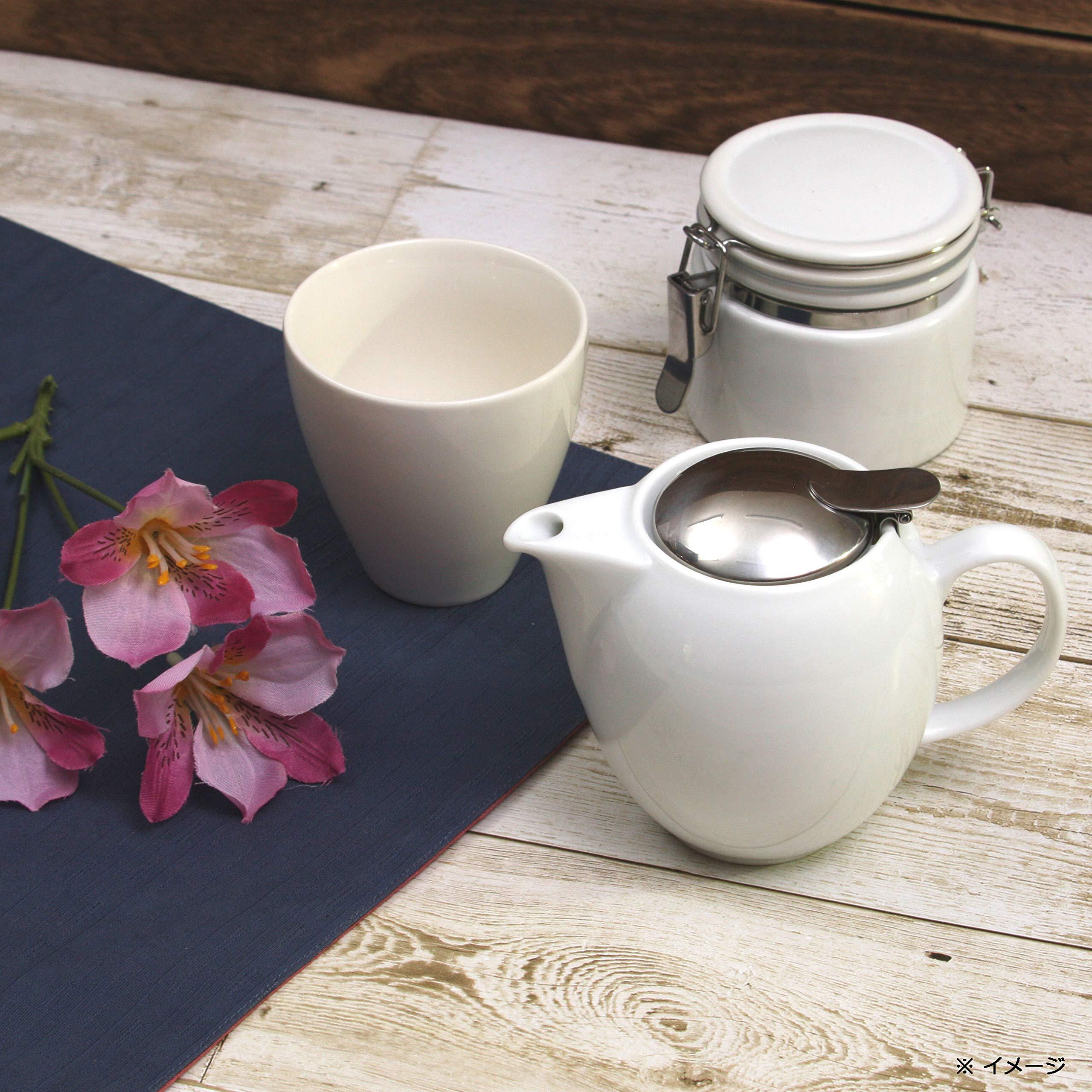 ZERO JAPAN(??????) ZEROJAPAN Universal Teapot for 2 People BBN-01 CA (Carrot)