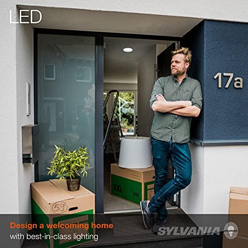 LEDVANCE SYLVANIA LED Flood PAR38 Light Bulb, 90W Equivalent, Efficient 13W, 10 Year, 1175 Lumens, Medium Base, Dimmable, 5000K, Daylight - 2 Pack (79736)