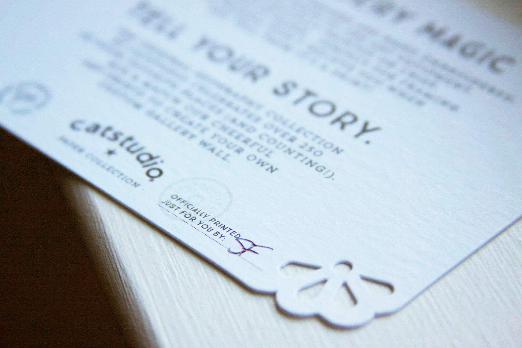 Catstudio Catstudio Florida Fine Art Print | 16\"x16\"