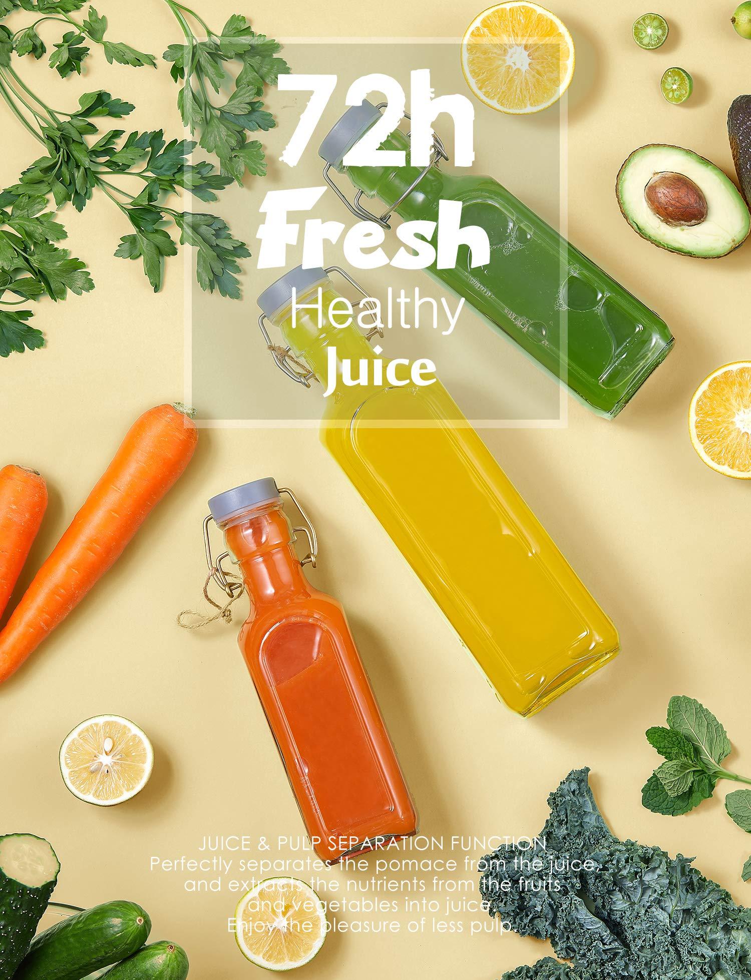 N\\A Juicer Machines, Slow Masticating Juicer Extractor with 3-Mode 2-Speed, Cold Press Juicer Easy to Clean, Quiet Motor & Reverse Function, Juice Recipes for Vegetables and Fruits, black