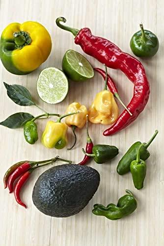 Lindo Brand Lindo Brand 8.6 inch Molcajete Mortar and Pestle with Pig Design, Mexican Handmade with Lava Stone Ideal as Herb Bowl, Spice Grinder, Volcanic Stone