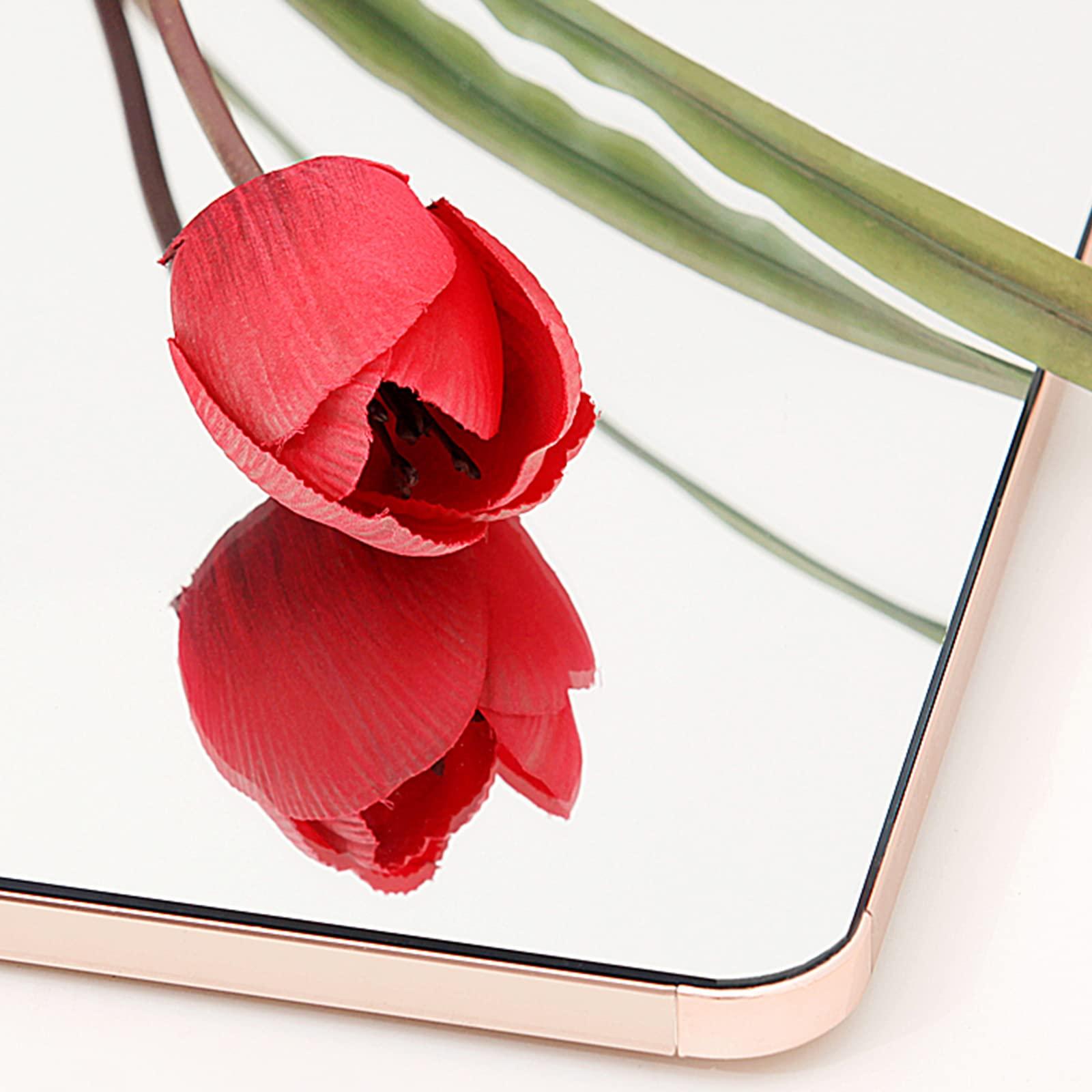 QQXX QQXX Full Length Invisible Pull-Out Mirror, Push-Pull Telescopic Sliding Rotating Vanity Mirror,Standing Bracket Wall-Mounted Mirror for Wardrobe Full Body Mirror(100x40cm(39x16in), Black)