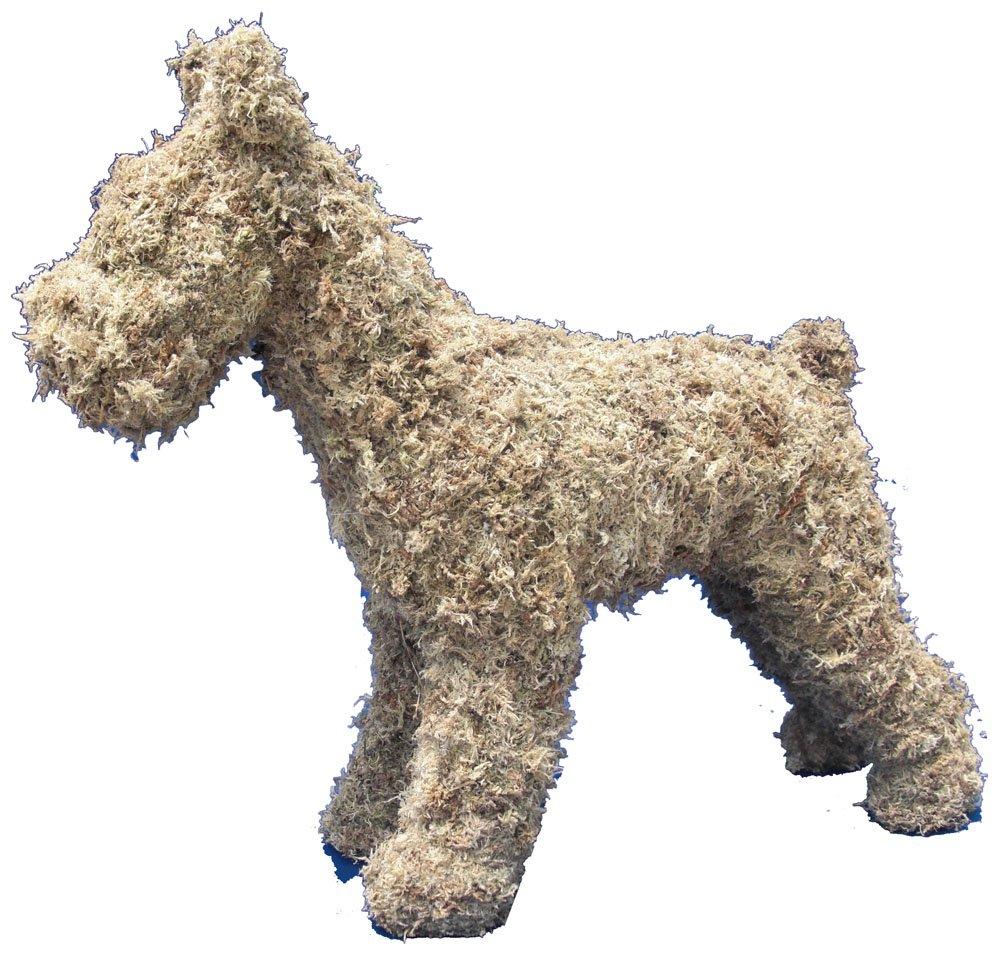 Topiary Art Works Schnauzer Topiary Frame - 19"- Made in USA - Best on The Market