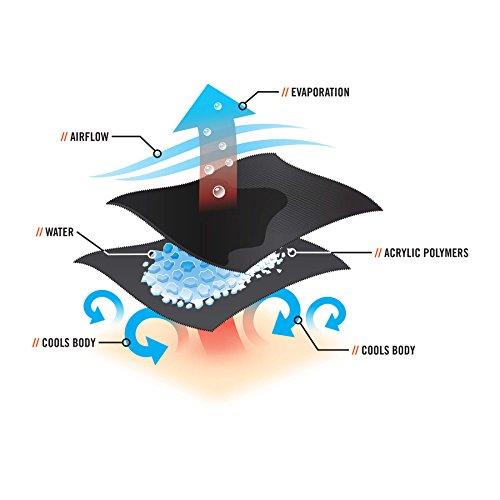 Ergodyne Cooling Bandana, Fire Resistant, Evaporative Polymer Crystals for Cooling Relief, Tie for Adjustable Fit, Ergodyne Chill Its 6700FR,Blue