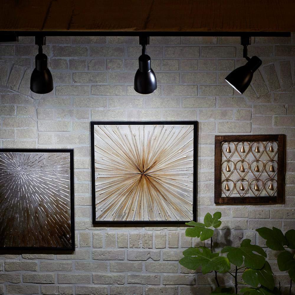 EcoSmart (12-Pack) EcoSmart R20 Daylight LED, Dimmable, 600-Lumen, 5000K, 8-Watt (50-Watt Equivalent) Light Bulb, E26 Medium Base (12-Pack)