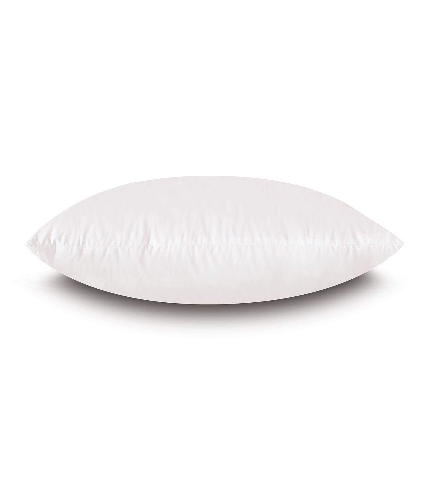 Plankroad Home Dcor Plankroad Home Dcor 21x76 Hypoallergenic Luxury 100% Small Feather Rectangular Grand King Pillow Insert, 100% Cambric Cotton Shell, Never Vacuum-Packed, Odorless, Made in USA
