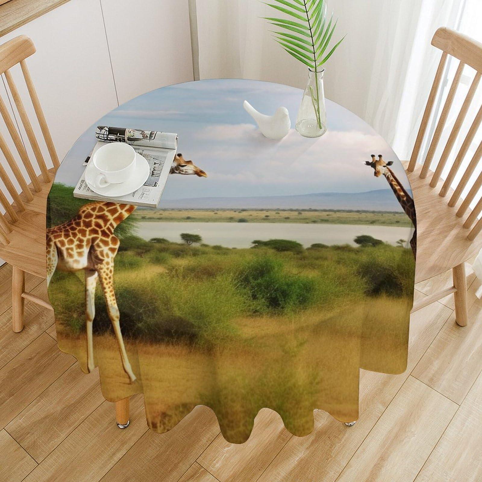 KAFFA ROASTER KALDI Coffee Roaster - Motor Drive Type (Roaster Only)