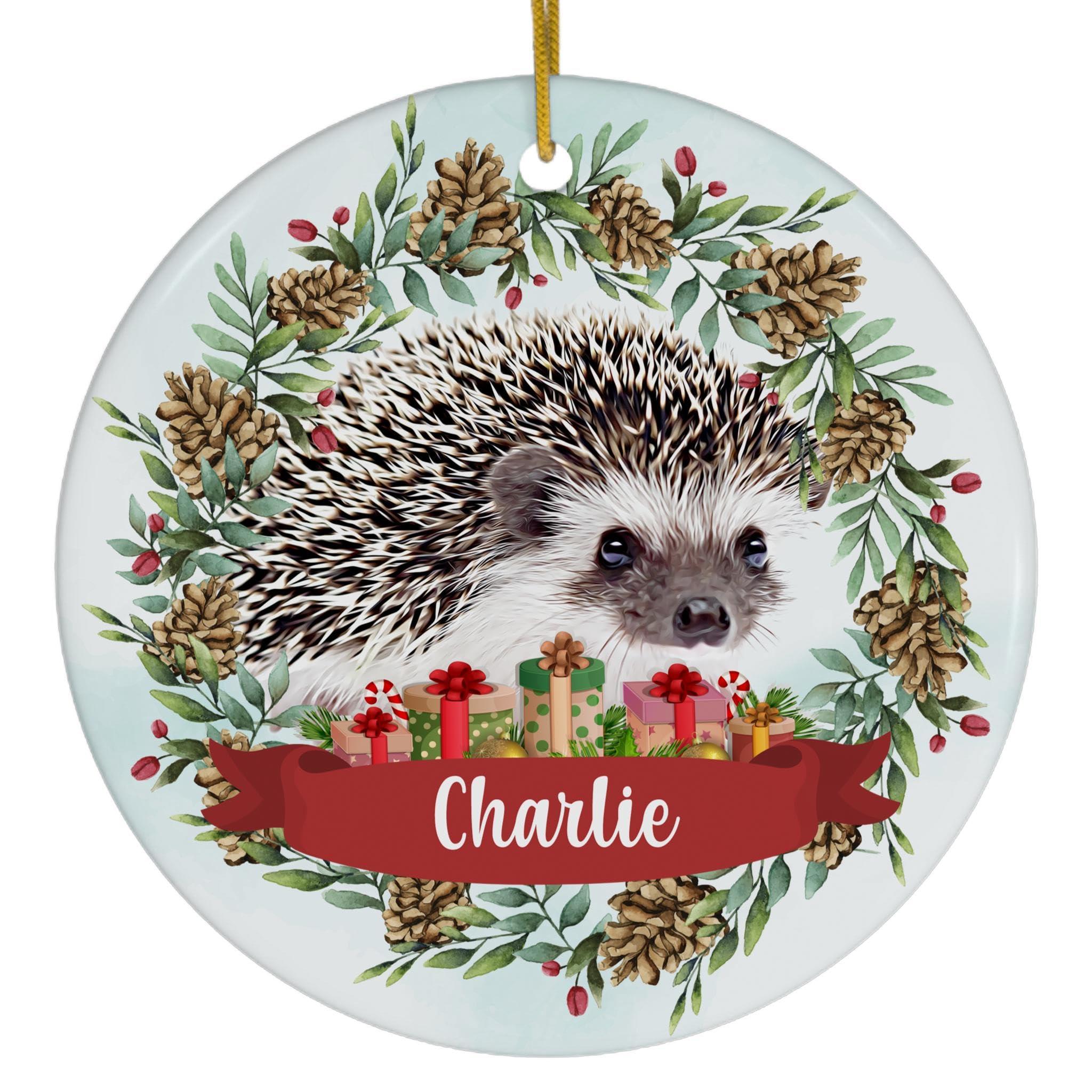 Lovesout Pinecones Theme Design with Baby African Hedgehog Personalized Name Christmas Ornaments 2024 Circle White Ceramic Pet Owner Gifts