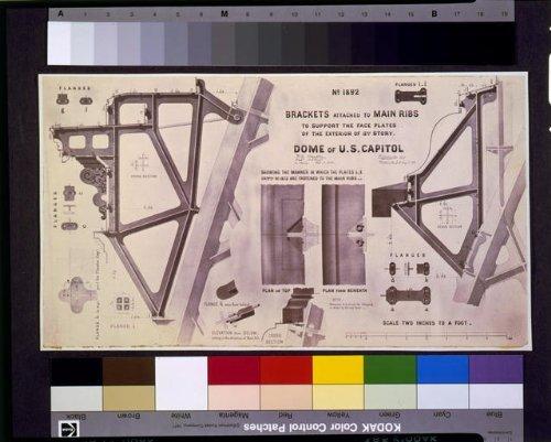 Truly Teague Tile Coaster (Set 4) Coffee Bean Floral