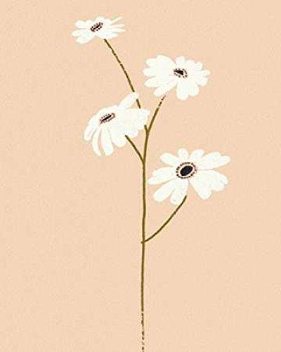 Posterazzi Serene Florals II Poster Print by Design Show (10 x 12)