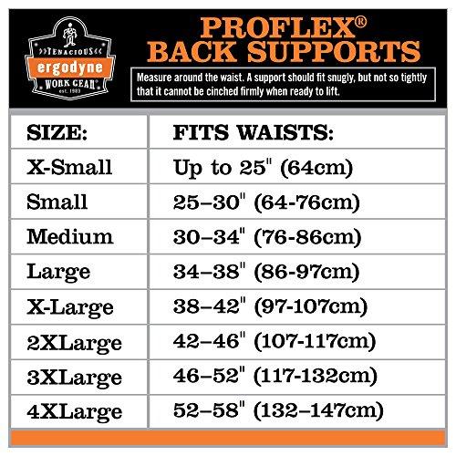 Ergodyne Ergodyne ProFlex 1500 Weight Lifters Style Back Support Belt, Medium, Black