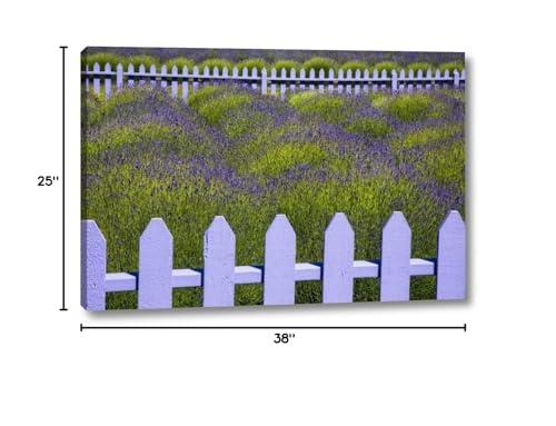 Canvas Art USA WA, Sequim Field of lavender with picket fence by Jean Carter - 25\" x 38\" Canvas Art Print Gallery Wrapped - Ready to Hang