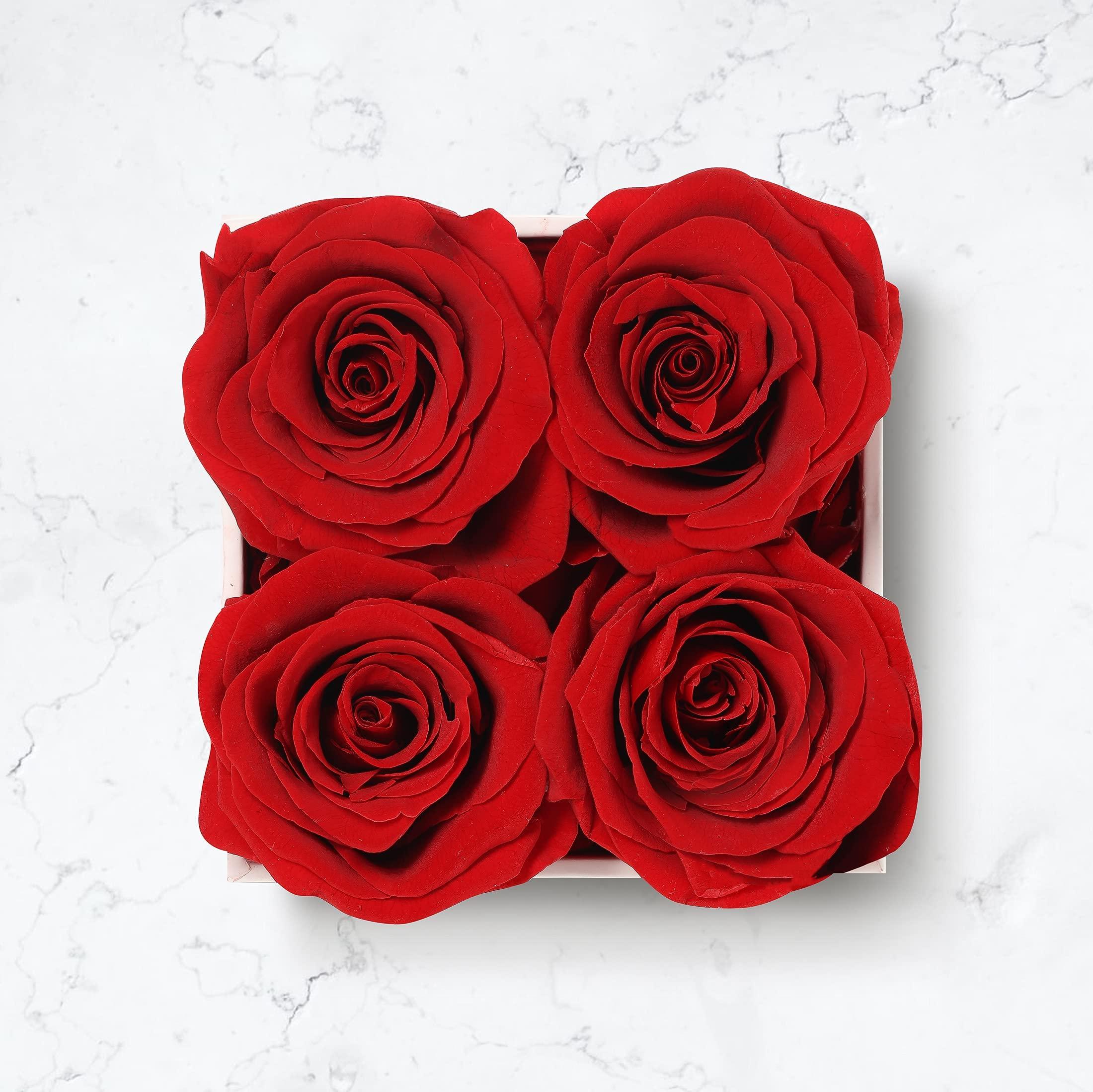 Beverly Rose Forever Roses That Last A Year, Preserved Roses For Delivery Prime, Eternity Roses In A Box, Real Flowers In A box, Flowers For Delivery Prime Birthday, Valentines Day, Anniversary, 4 Pcs Red