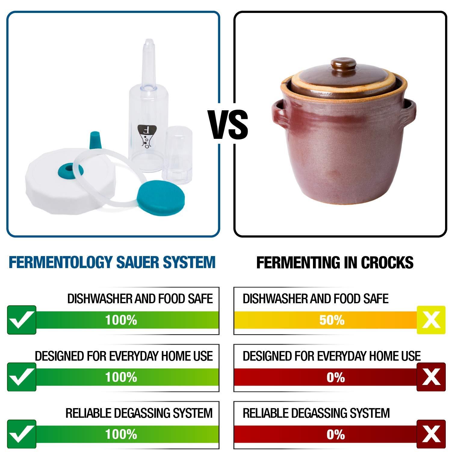 Fermentology Fermentology Sauer System Fermentation Airlocks – Lids, Grommets, Gaskets, Stoppers – for Regular Mouth Mason Jars – 4 Pack