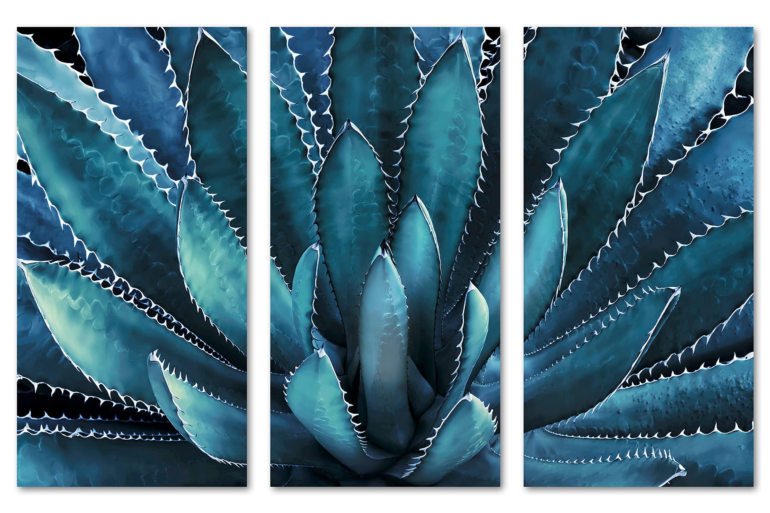 Canvas Quest 30 x 20 TOTAL - Agave Plant Canvas Print Wall Art Aegean Blue 3 Panel Split Botanical Art, tequilana plant