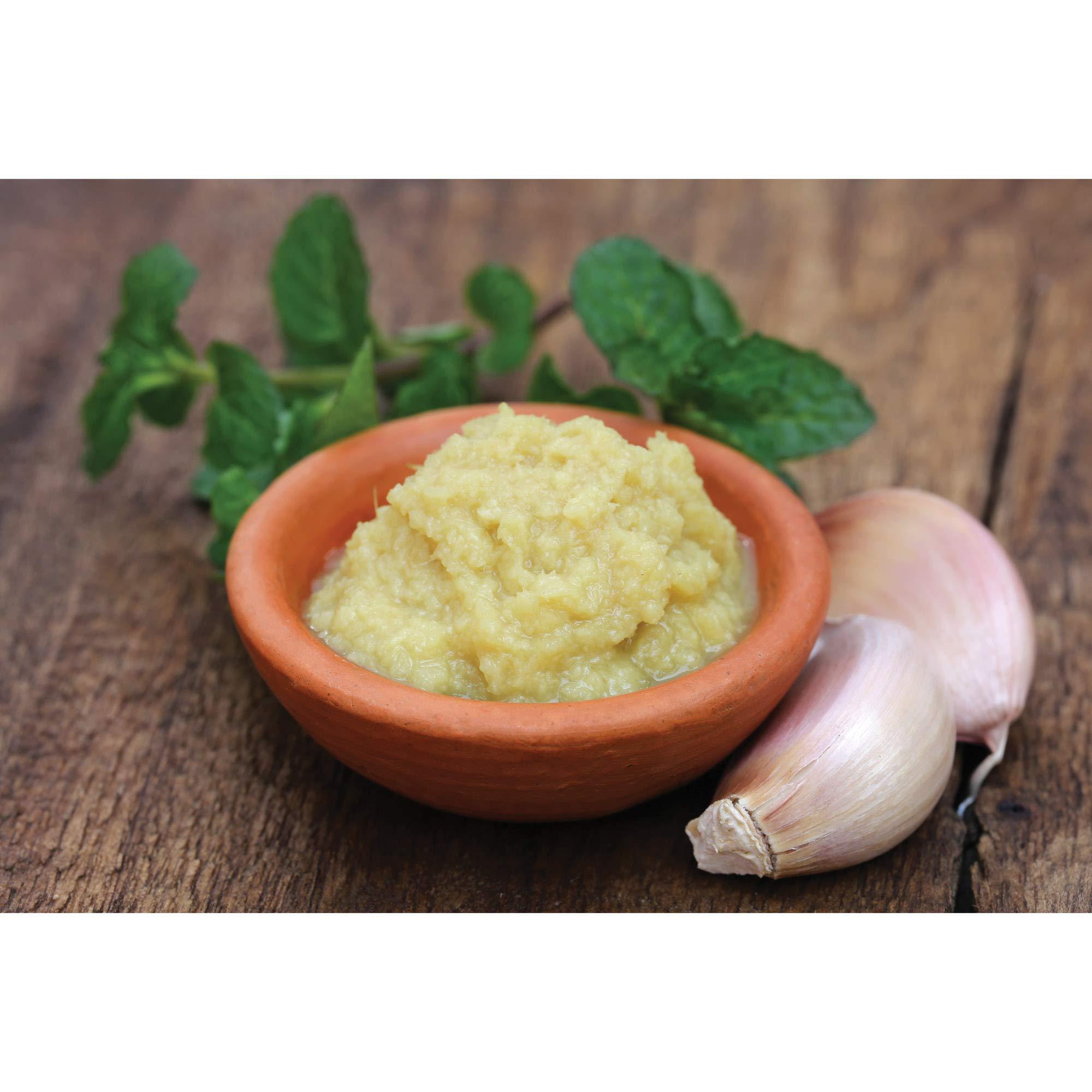 Fante's Fantes No-Peel, Self Cleaning Garlic Press, 6.25 x 1-Inches, the Italian Market Original since 1906