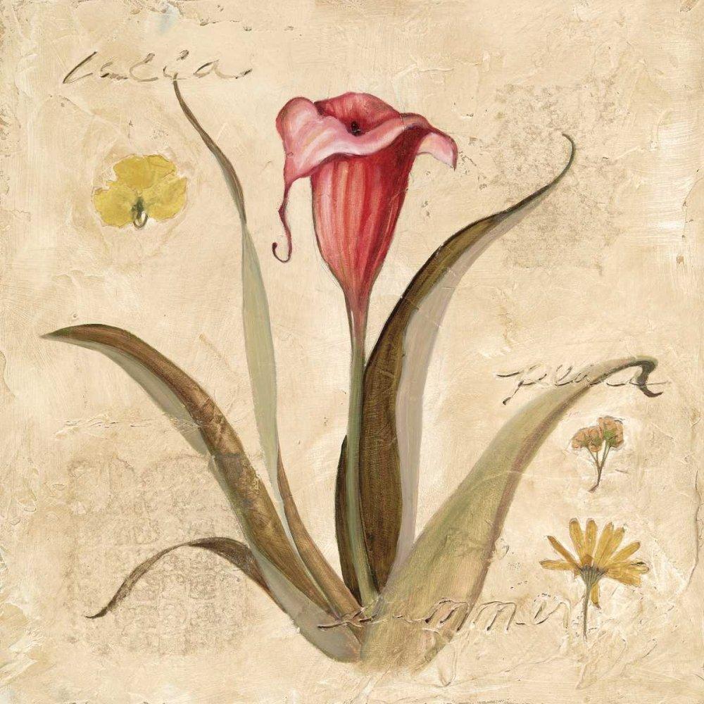 Posterazzi Posterazzi Collection Red Calla Lily Poster Print by Carol Robinson (24 x 24)