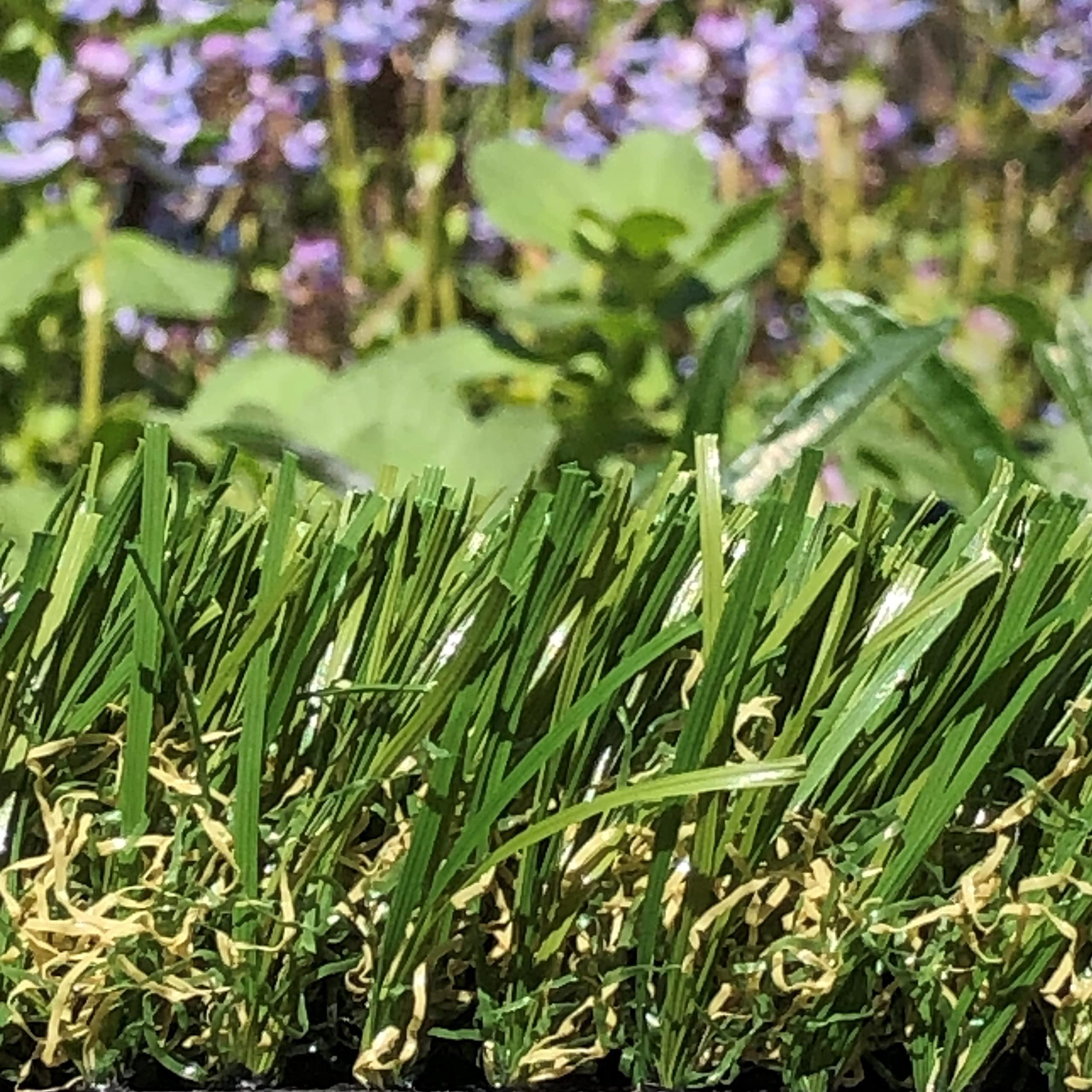 SMARTLAWN PROFESSIONAL SMARTLAWN PROFESSIONAL 5\'X 27\' Artificial Grass 1.5\" Pile Height was Designed to replicate The Lush Beauty of Natural Grass, specifically for Landscape Applications.