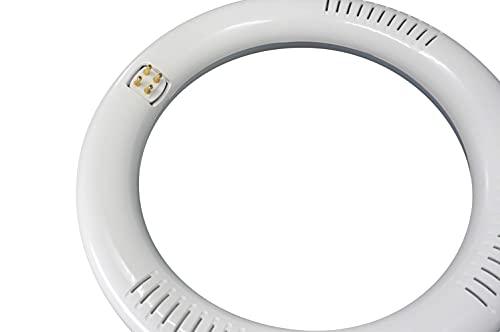 NYLL NYLL - 8 Inch/ 8" Plug & Play T9 Circline LED Lamp - Daylight (6000K) Circular Bulb Directly Relamp & Replace 22 Watt Fluorescent Bulb FC8T9/D (Without rewiring or Modification) - Ballast Required!