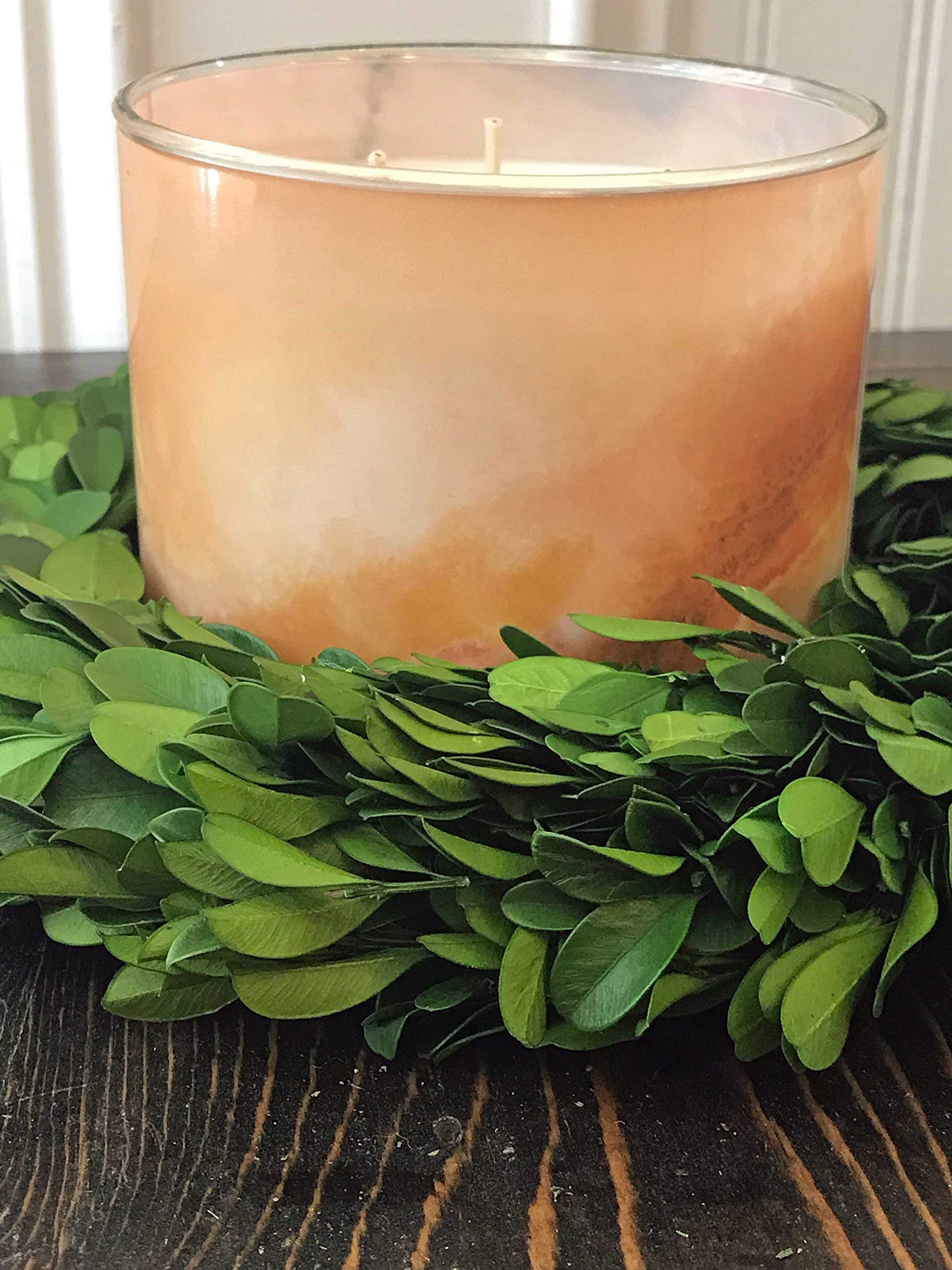 Wreath and Vine 10 Inch Small Mini Preserved Boxwood Wreath Candle Ring Holder, Decorative for Christmas Year Round, Spring, Summer, Thanksgiving, Rustic Farmhouse Holiday Home Decor, Handmade, Green