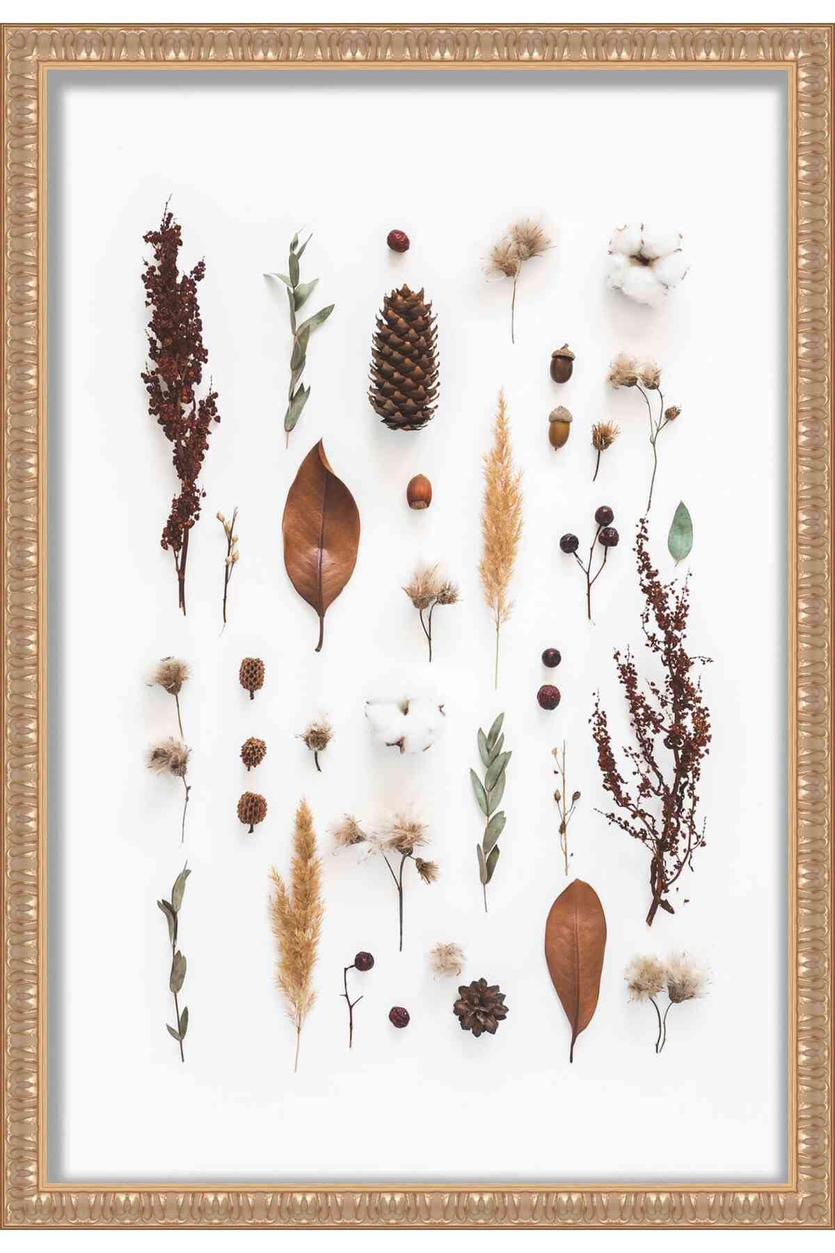 Poster Palooza 14x11 Ornate Silver Shadow Box Frame - Shadow Box Frame Interior Size 14x11 by 1 Inch Deep - Frame Is Made to Display Items Up to 1 Inch Deep! includes Shatter Resistant Acrylic, Backing, Hardware