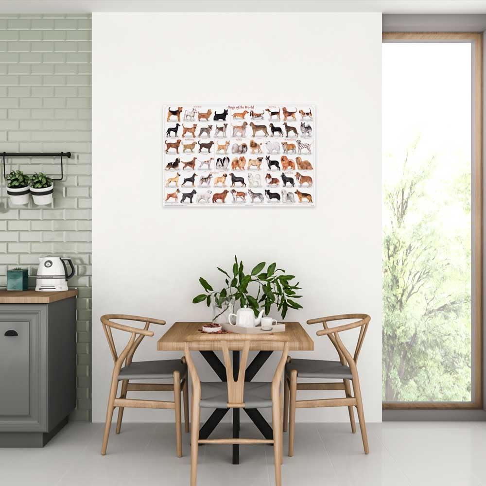 Feenix Publishing (24x36) Laminated Dogs of the World Educational Animal Chart Poster
