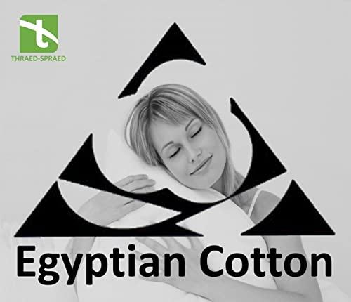 Thraed-Spraed RV Bunk 38 X 80 Sheet Set 600 Thread Count 100% Egyptian Cotton 10-Inch Deep Pockets Made for RV, Camper, Motorhomes, Boat, Soft Luxury & Breathable, 4-PC RV-Sheets - Turquoise Blue Solid