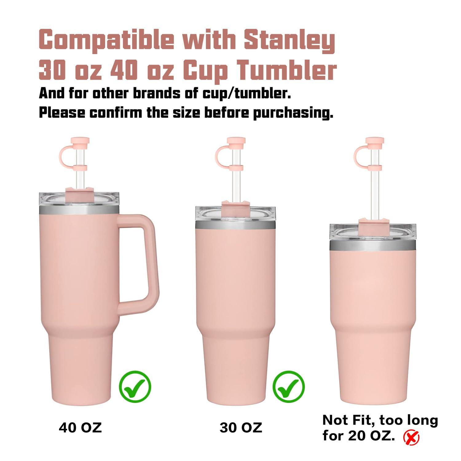 Beonsky Replacement Straw Cover Spill Stopper Accessories for Stanley Cup 40 oz 30 oz Quencher, Tumbler Accessories of 6 Clear Straw with Cleaning Brush, 2 Silicone Cover Cap, 4 Leak Sproof Plug for Stanley