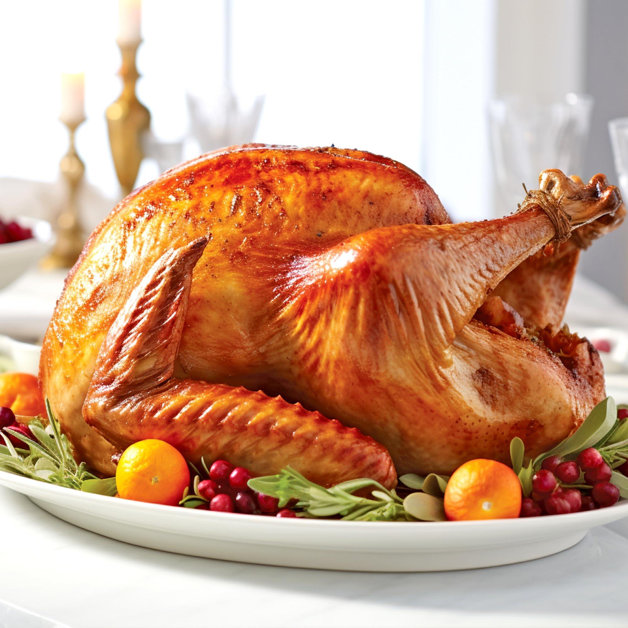 HIC Kitchen HIC Kitchen Turkey Embossed Serving Platter, Fine White Porcelain, Oversized