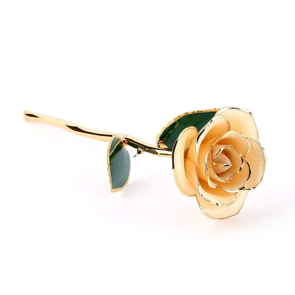 Jwthee Gold Dipped Rose 24k Real Rose, Love Forever Long Stem Gold Plated Rose Preserved Flowers Gifts for Women: Mothers Day, Valentines Day, Birthday, Anniversary, Thanksgiving Day