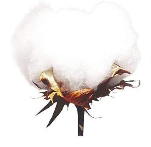 Epic Cotton Epic Cotton 4-Piece Smart Sheet Set - Luxury Soft 1000 Thread Count 8\" Inch Deep Pockets, 100% Egyptian Cotton-with Side Storage Pockets on Fitted Sheet, Twin Size, Lilac