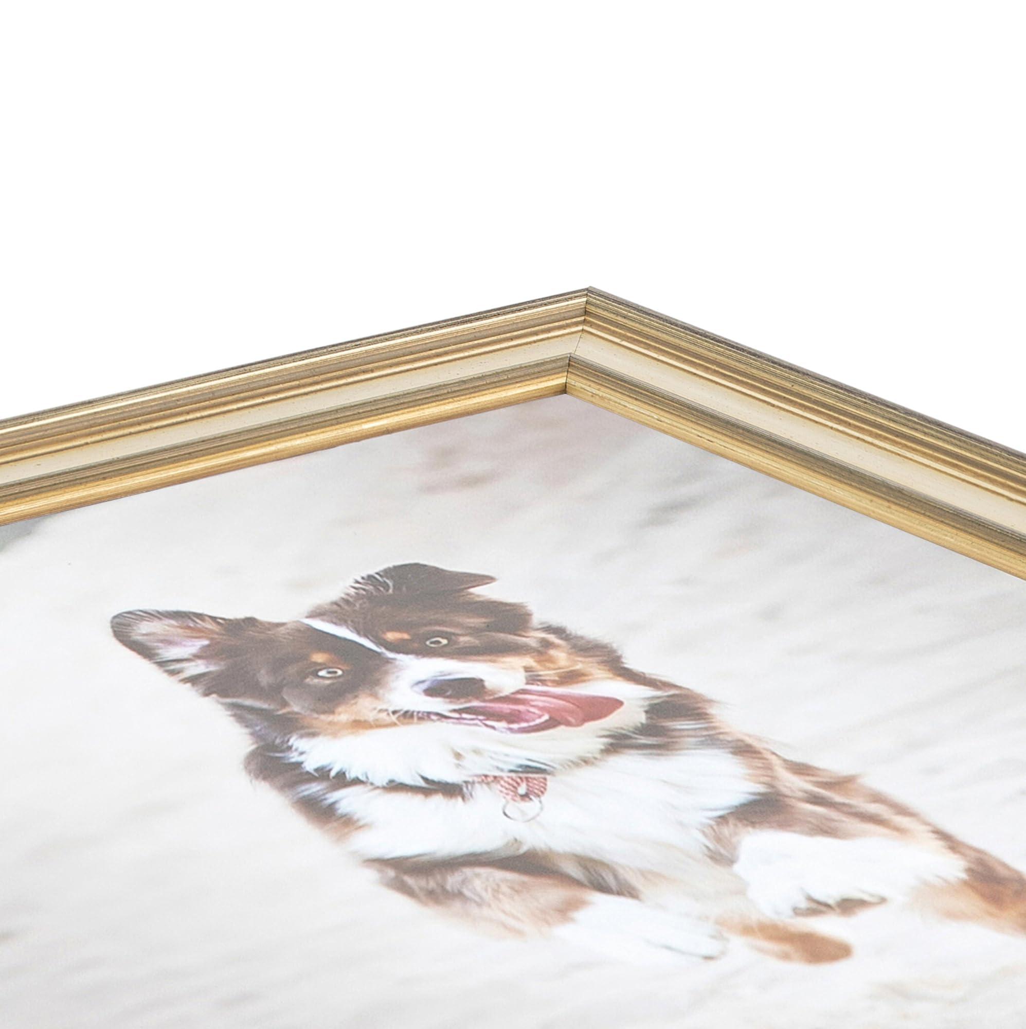 Franco Franco Ryan\'s World Poised to Review Hooded Towel