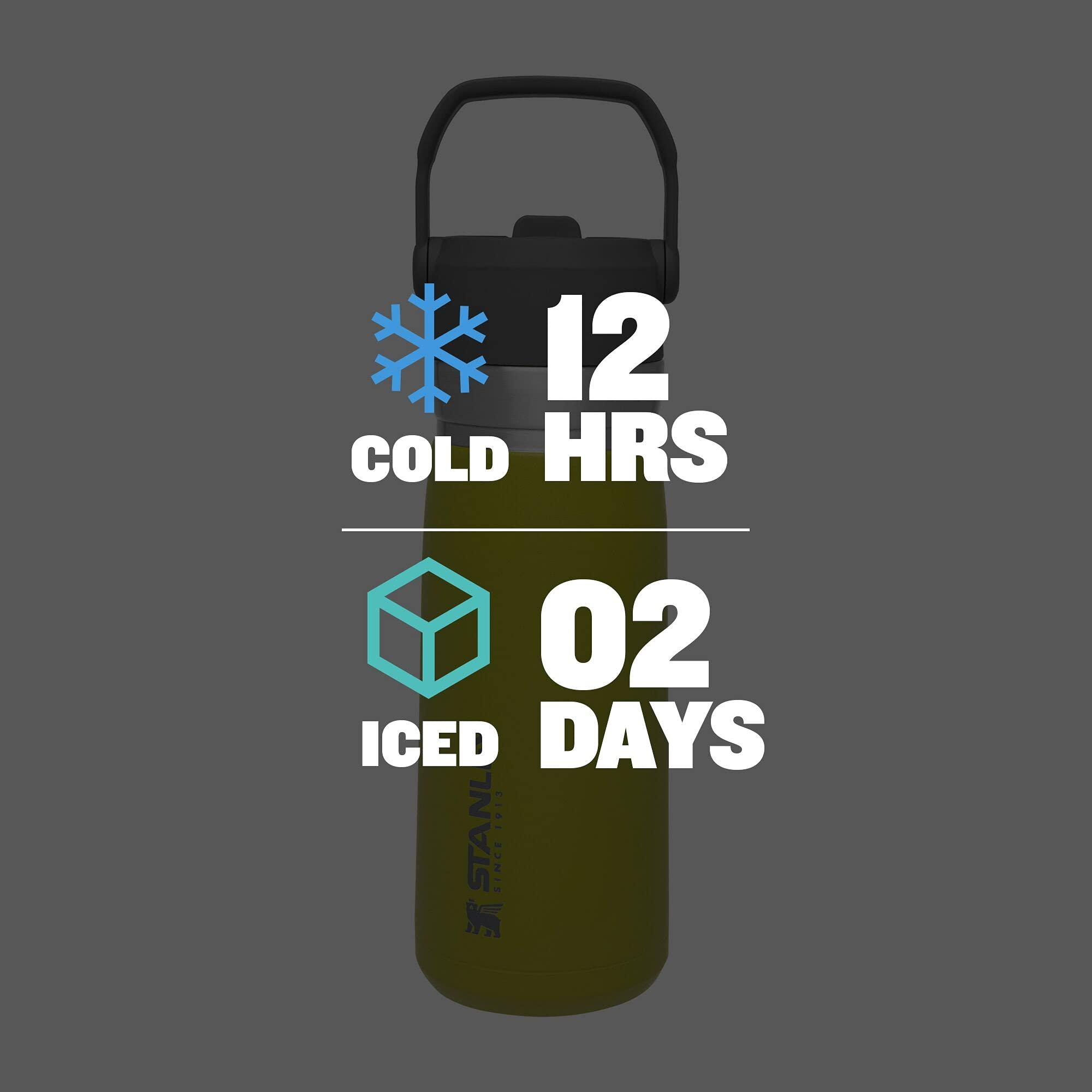 STANLEY Stanley IceFlow Stainless Steel Bottle with Straw, Vacuum Insulated Water Bottle for Home, Office or Car, Reusable Leak Resistant Cup with Straw and Handle Aloe, 22OZ