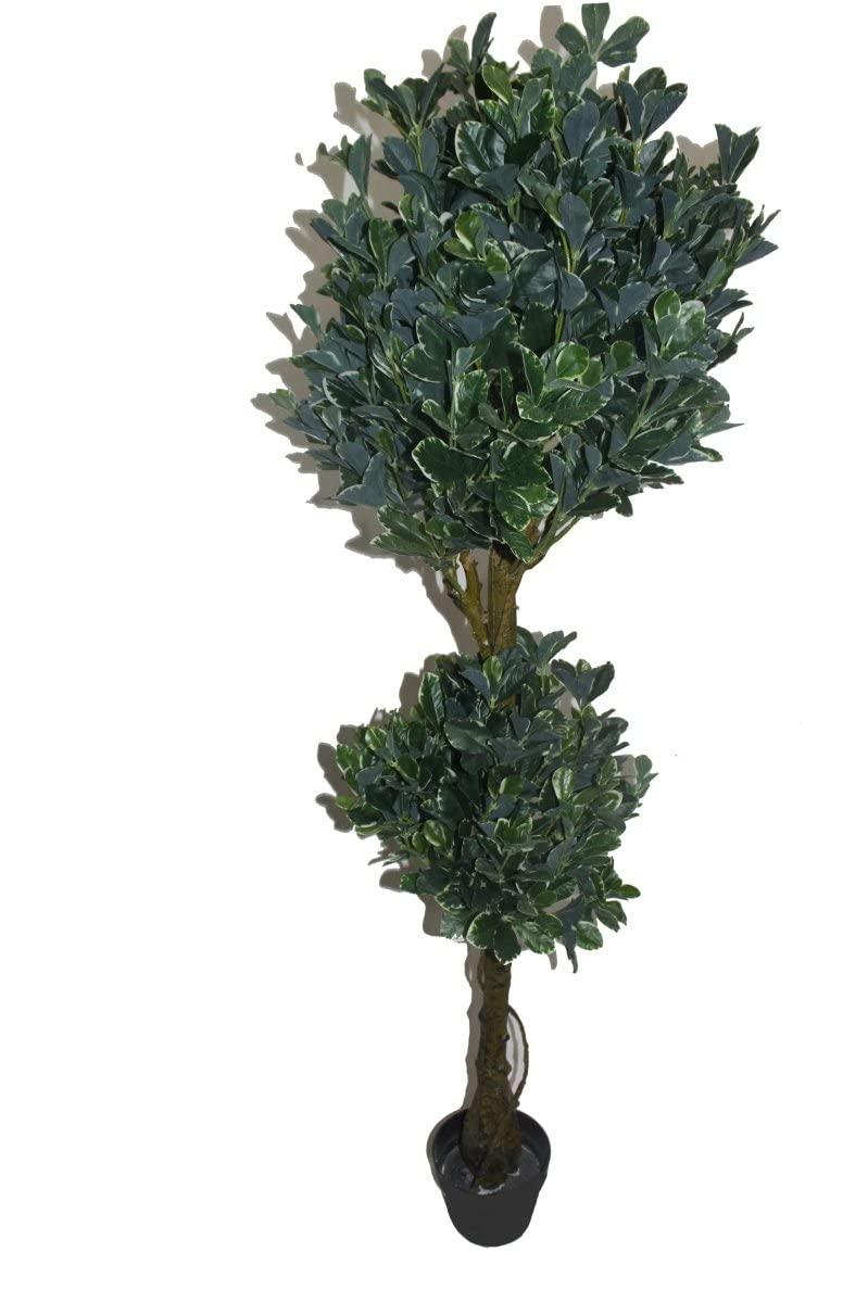 Jeco Jeco Inc Edge Fortune Tree, 59", White