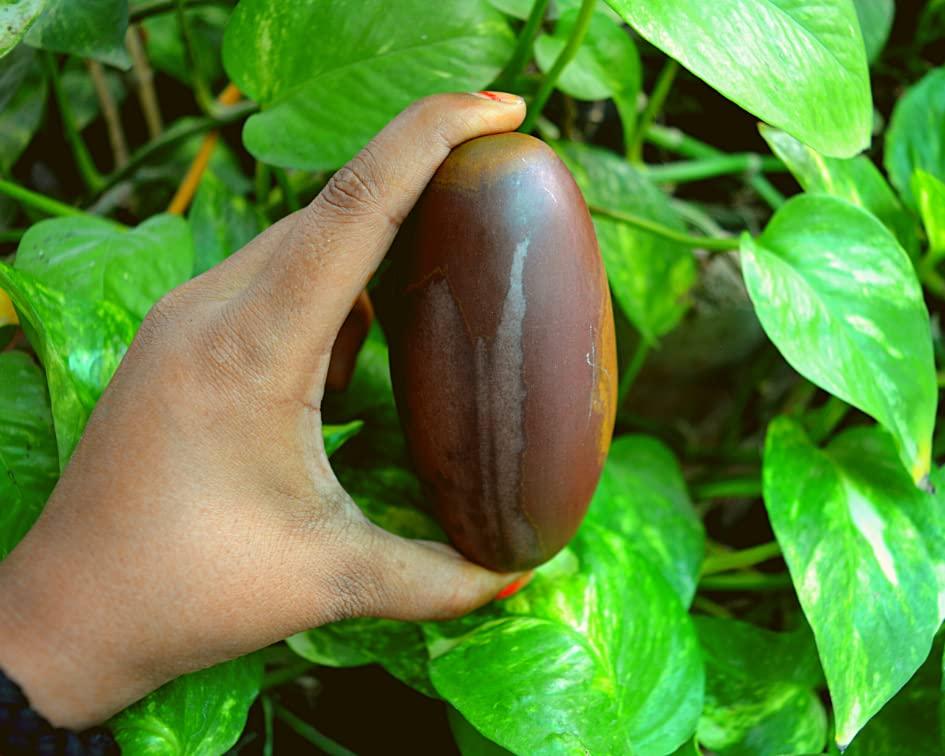 Shiva Lingam Shop Shiva Lingam Stone ~I-5700