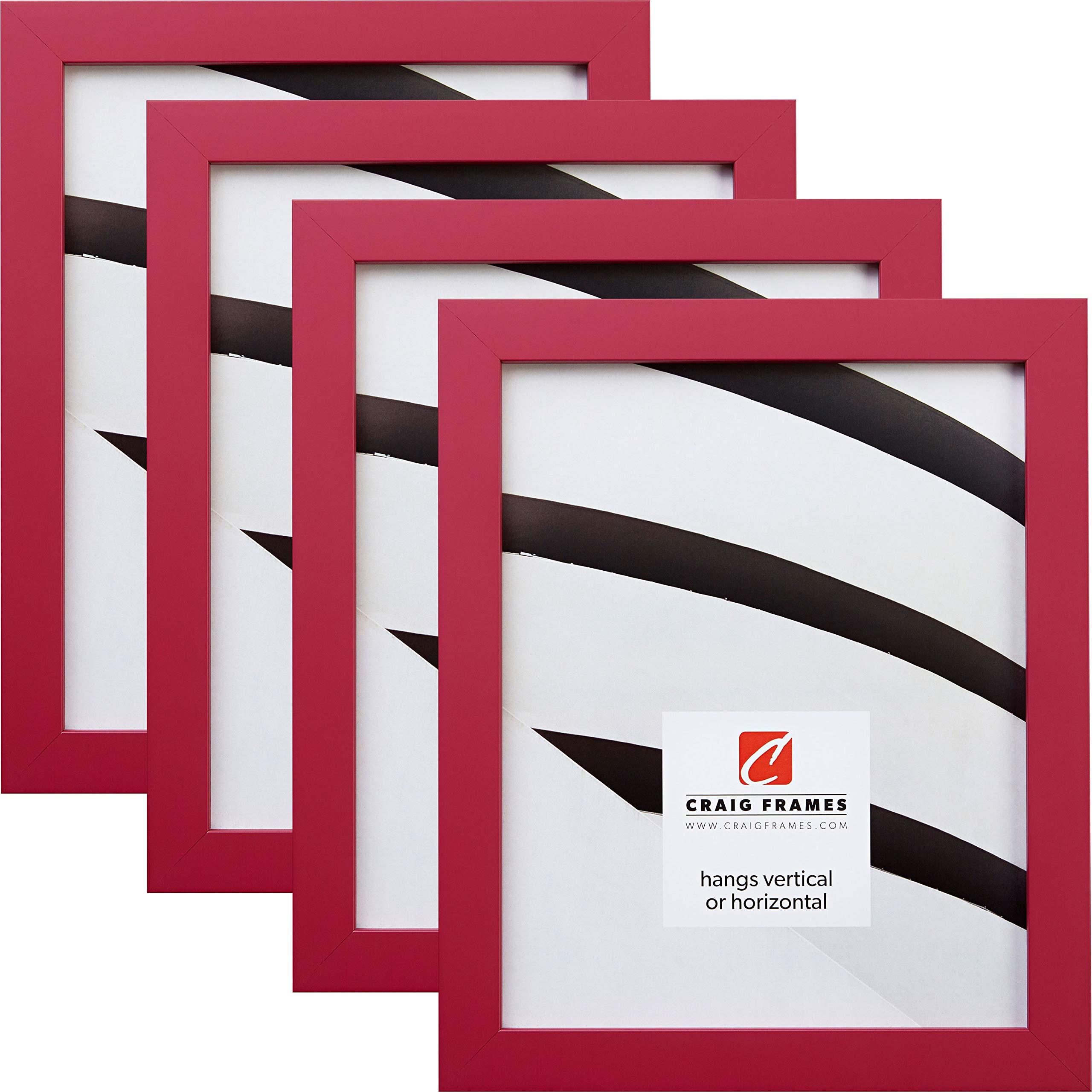 Craig Frames Craig Frames Confetti, 20 x 27 Inch Picture Frame, Modern Pink, Set of 4