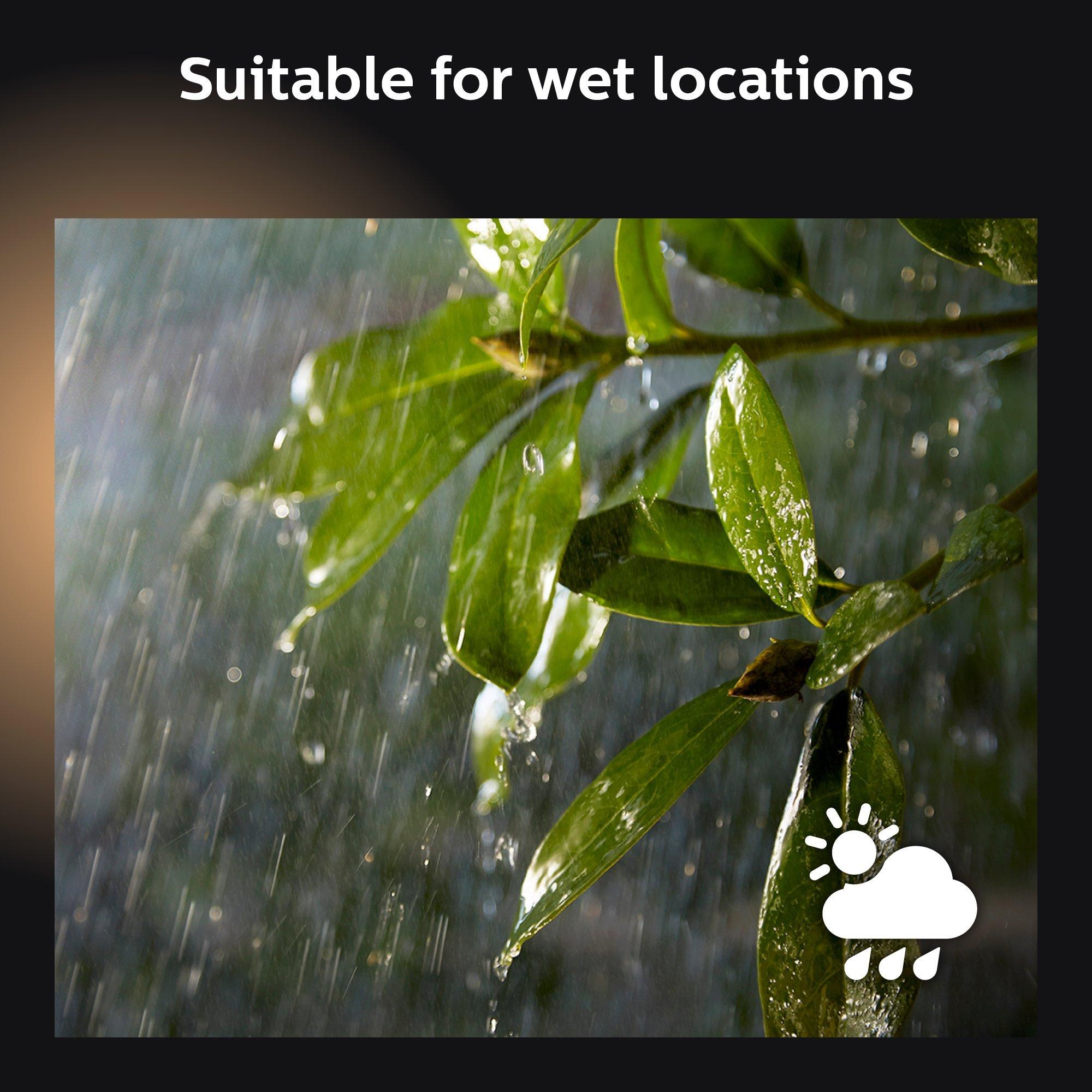 PHILIPS Philips Hue White Outdoor PAR38 13W Smart Bulbs Hub Required, 2 White PAR38 LED Smart Bulbs, Works with Alexa, Apple HomeKit and Google